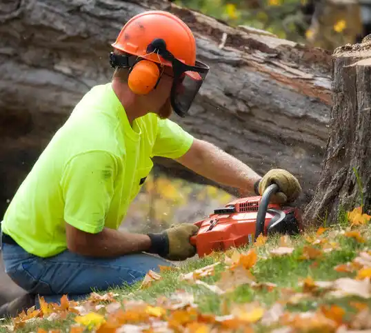 tree services Baton Rouge